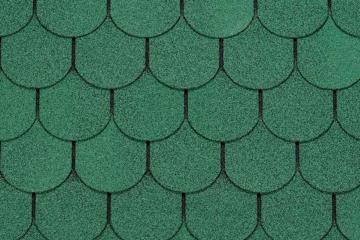 Shingle
